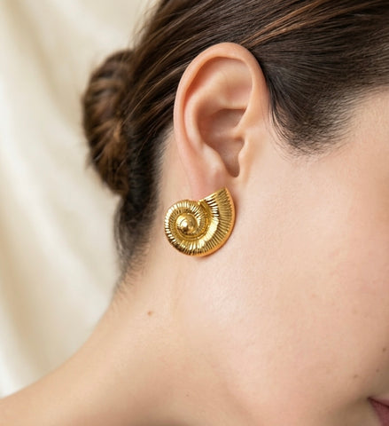 Aretes Caracol